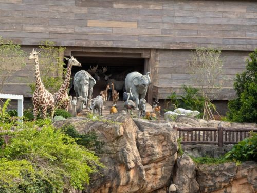 Noah's Ark